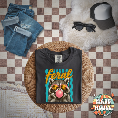 Feral Raccoon Summer