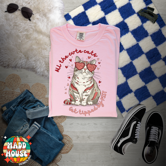 All the cute cats - PSST